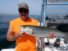 Sully's live lined striper